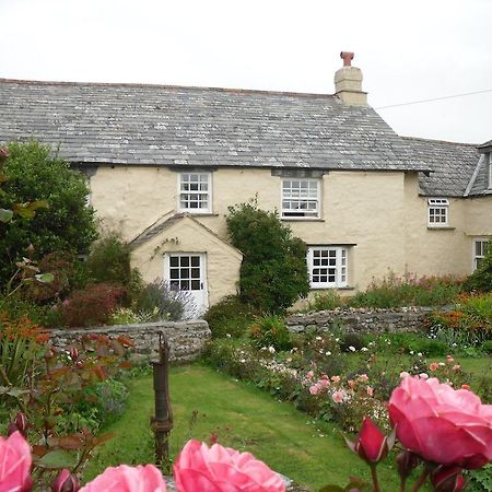 Bed and Breakfast Higher Tresmorn Farm Crackington Haven Exterior foto