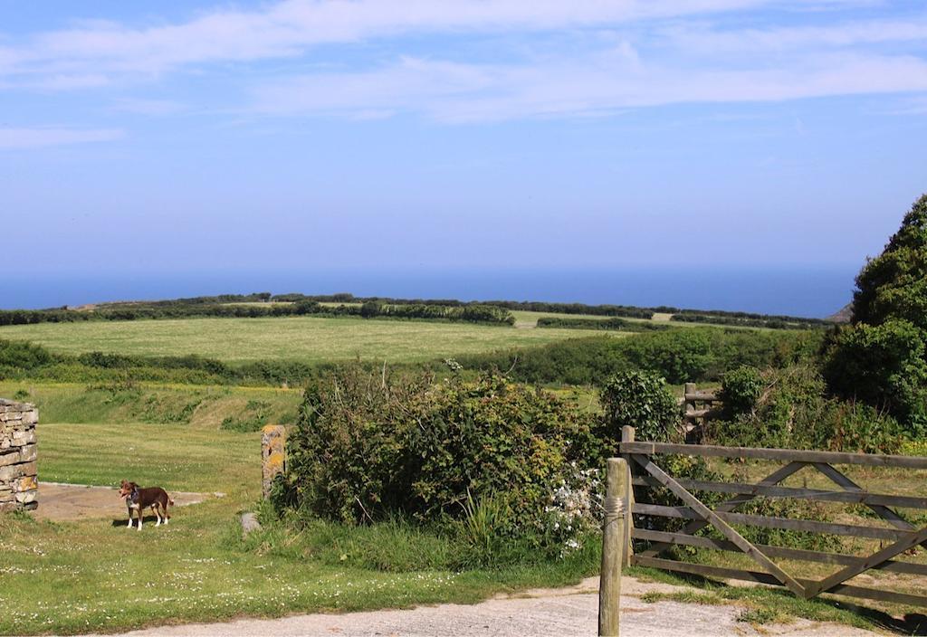 Bed and Breakfast Higher Tresmorn Farm Crackington Haven Exterior foto