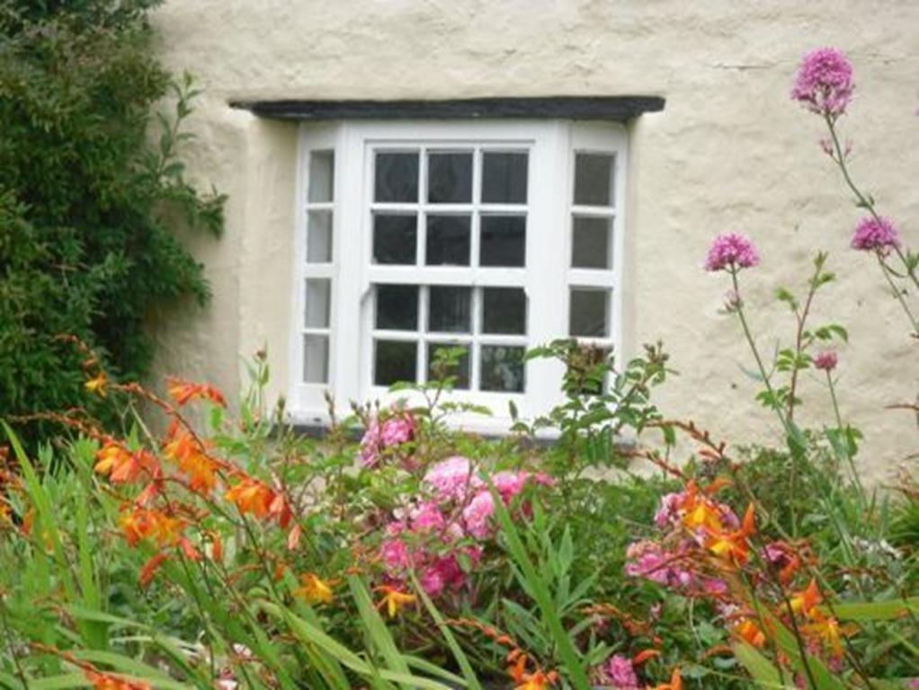 Bed and Breakfast Higher Tresmorn Farm Crackington Haven Exterior foto